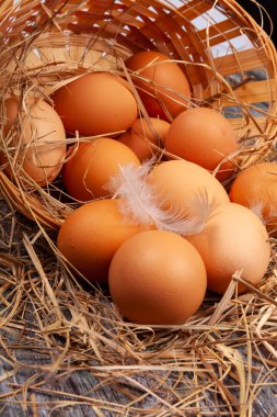 köy yumurtaları sepet