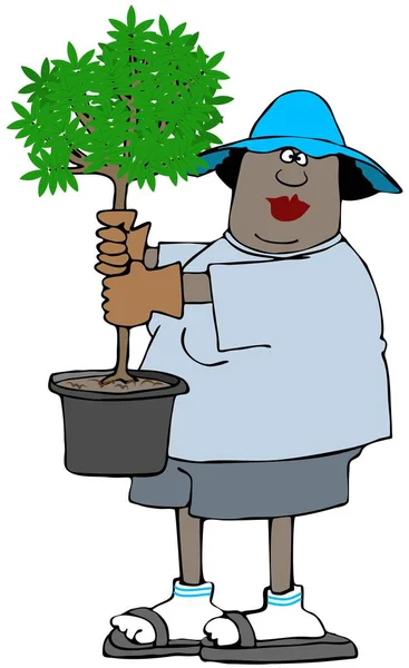 Illustration of a black woman gardener holding a small tree in a pot.