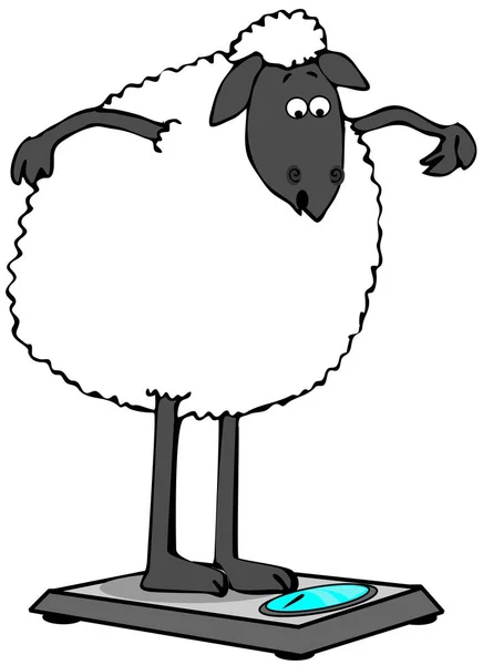 Иллюстрация Черной Овцы Стоящей Весах Ванной Проверить Вес — стоковое фото