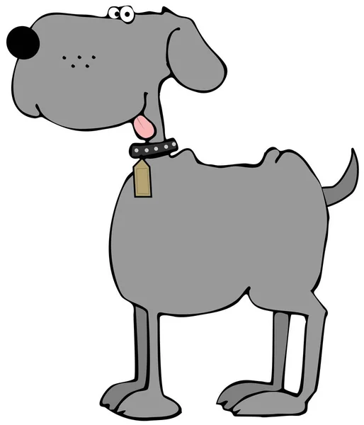 Illustration Happy Gray Dog Its Tongue Hanging Out — Stock Photo, Image