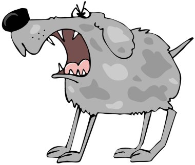 Eski bir gri köpek havlıyor kaldırdı onun öfkeli ile gösteren resim.