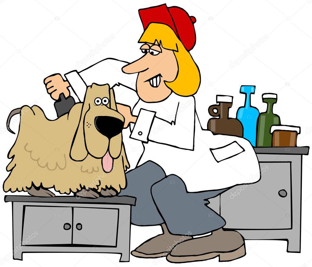 Illustration of a female dog groomer brushing out a long haired canine.