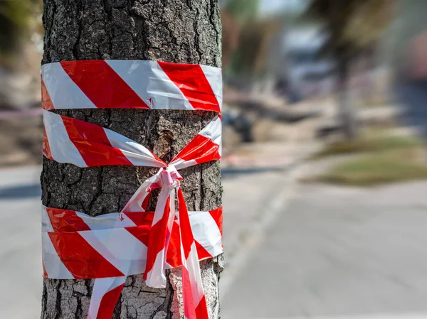 Tree Wrapped Warning Tape Day Outdoors — Stock Photo, Image