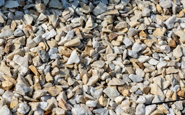 Pequenas Pedras Brancas Terra — Fotografia de Stock