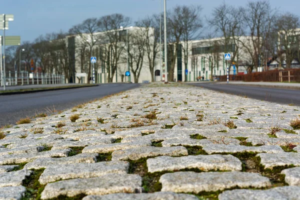 Stone strip between roads city day closeup — Stock Photo, Image