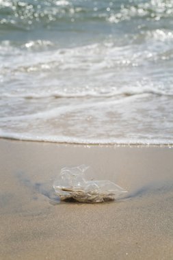 Plastik çöp döküm deniz, ekolojik felaket