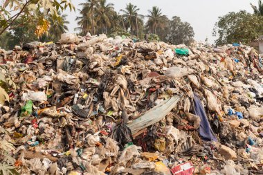 Büyük çöp dökümü, yaşam alanı, ekolojik felaket karayoluyla