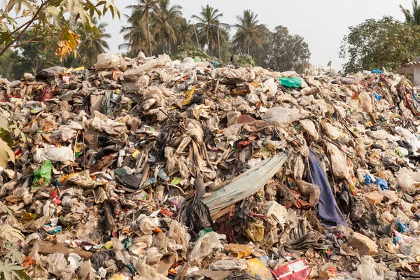 Büyük çöp dökümü, yaşam alanı, ekolojik felaket karayoluyla