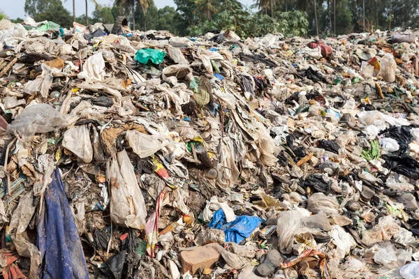 Büyük çöp dökümü, yaşam alanı, ekolojik felaket karayoluyla