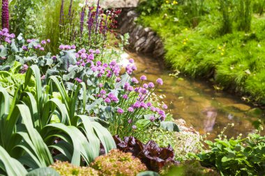 Güzel bir bahçe sebze yama