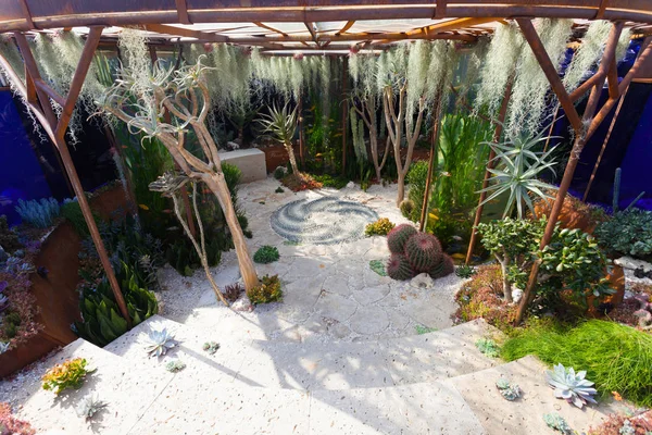 Paisaje de jardín con cactus y acuario Imagen de stock