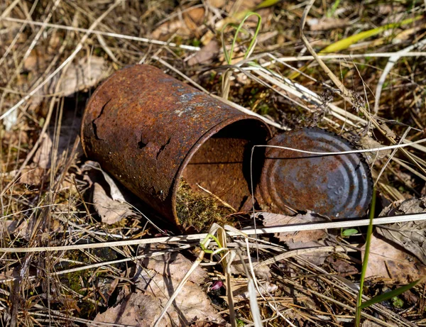 Rusty tin can on dry grass in the forest