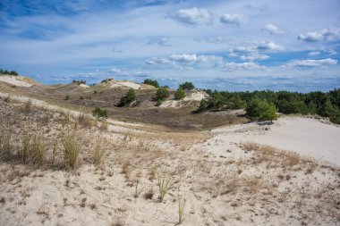 Kıyı kumulları güneşle doldu.