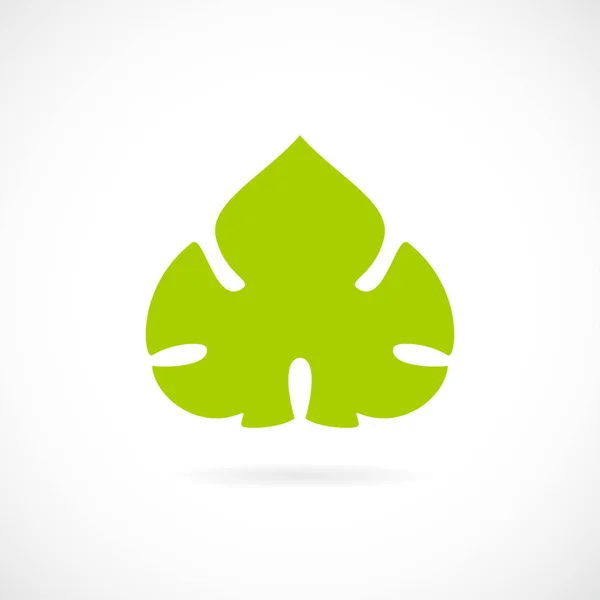 Grape grön Leaf Icon — Stock vektor