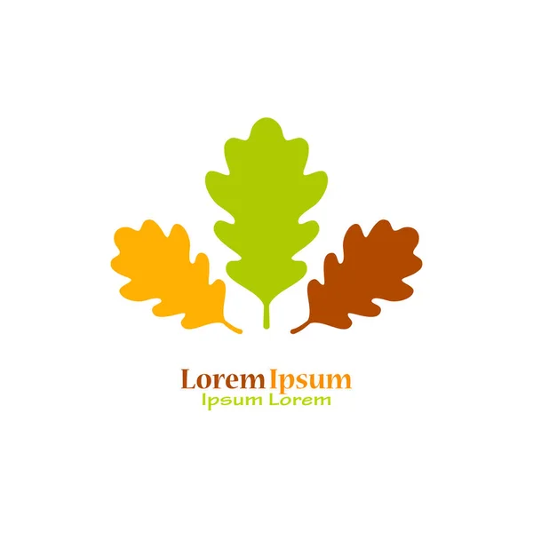 Oak Leaves Natural Logo — Stock Vector