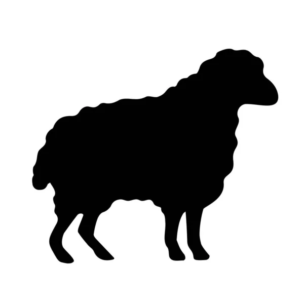 Wolle Schafe Vektor Silhouette — Stockvektor
