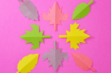 El yapımı sonbahar sonbahar projeleri veya el sanatları yayınlar için yaratıcı bir şekilde düzenlenmiş farklı renkteki yaprakları