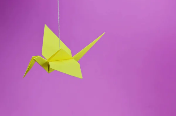 Foto Grúa Origami Para Sus Proyectos Asiáticos Publicaciones Artesanales — Foto de Stock