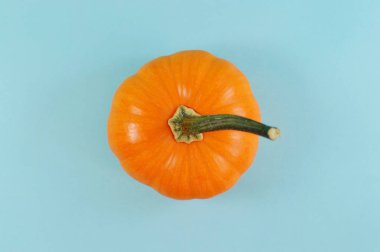 Mevsimlik projeler ya da sebze yayınlar için kabak fotoğraf.