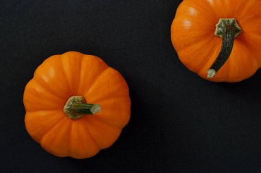 Mevsimlik projeler ya da sebze yayınlar için kabak fotoğraf.