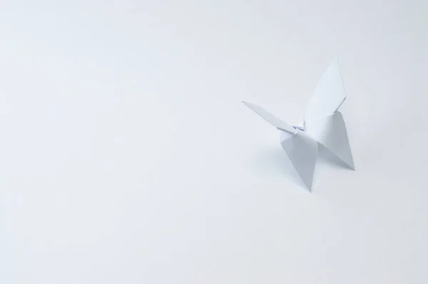 Papel Origami Fondo Blanco Ideal Para Tus Proyectos Educativos Temas — Foto de Stock