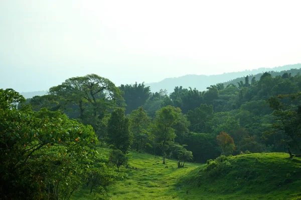 Paisaje de montes en la selva tropical — Foto de Stock