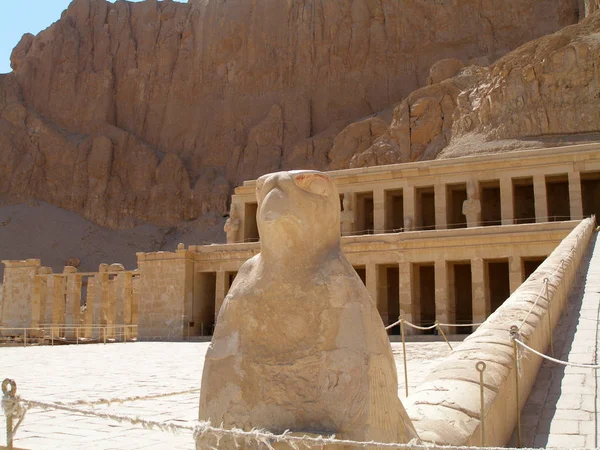Templo Hatshepsut Deir Bahri Egito Estátua Falcão Como Hórus Perto — Fotografia de Stock