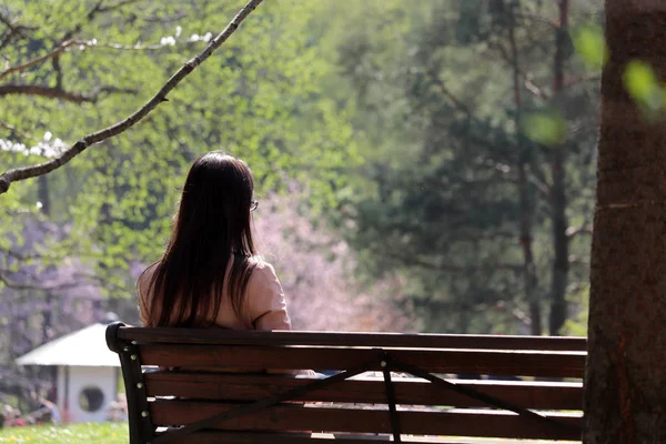 Girl Glasses Sits Wooden Bench Spring Japanese Garden Cherry Blossom — Stock Photo, Image