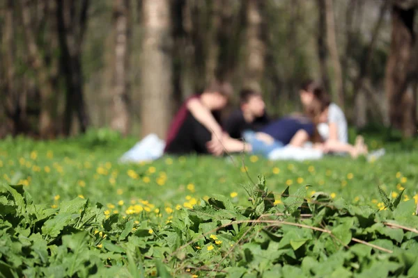 Piknik Erdőben Fiatalok Ülnek Zöld Gyep Homályos Tavaszi Nyári Kikapcsolódás — Stock Fotó