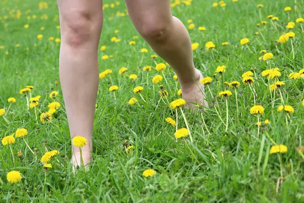 Barefoot girl runs on green meadow with blooming dandelions, naked female legs on a grass. Harmony with nature, concept of vacation, summer leisure, ecology, healthy lifestyle