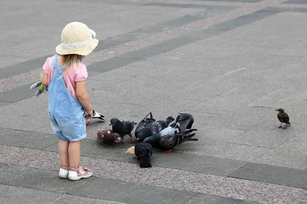 Miúdo Alimentar Pombos Menina Brincar Numa Rua Cidade Infância Feliz — Fotografia de Stock