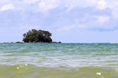 Bir okyanusta palmiye ağaçları ile Tropikal ada, sakin sudan pitoresk görünümü, seçici odak. Mavi gökyüzü ve beyaz bulutlar ile renkli deniz manzarası, cennet doğada tatil kavramı