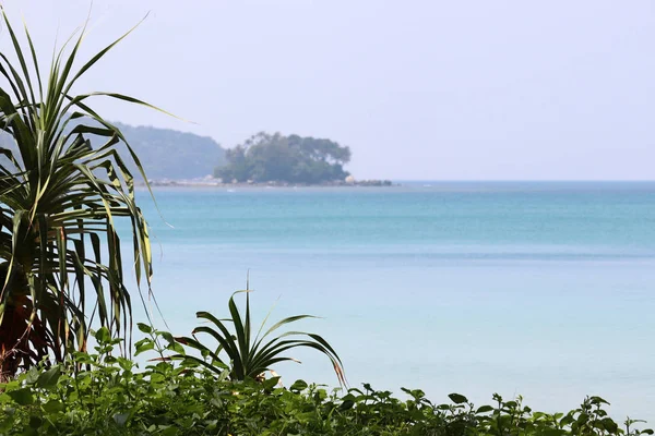 Spiaggia Tropicale Vista Sul Mare Azzurro Isole Verdi Attraverso Foglie — Foto Stock