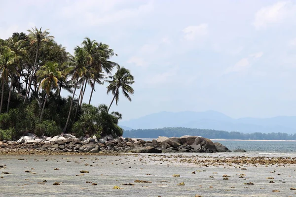Spiaggia Tropicale Vista Sul Mare Isola Verde Con Palme Cocco — Foto Stock