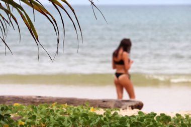 Tropik plaj, palmiye yapraklarının arasından deniz kenarında duran tangalı bikinili seksi kadın, seçici odaklanma. Yaz tatili kavramı, güneşlenmek ve bir cennet doğasında dinlenmek.