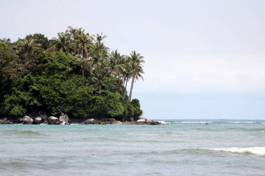 Tropikal ada, deniz manzaralı ve hindistan cevizi palmiyeli yeşil orman. Gök mavisi suyu ve kayalık kıyıları olan cennet manzarası