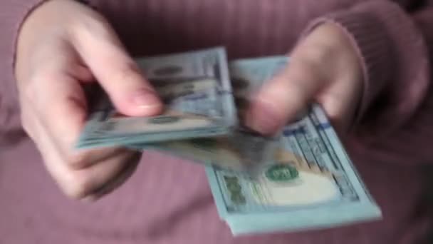 Mujer Cuenta Dólares Las Manos Femeninas Cerca Persona Con Dinero — Vídeo de stock