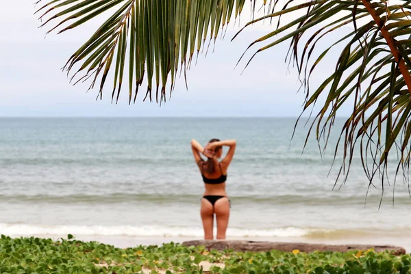 Playa Tropical Mar Vacaciones Soleada Costa Paradisíaca Enfoque Selectivo Chica —  Fotos de Stock