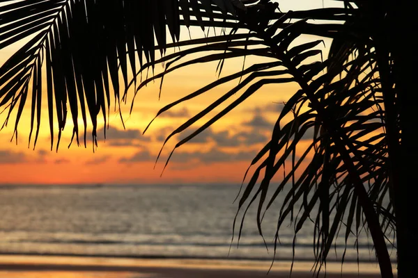 Sonnenuntergang Einem Tropischen Strand Farbenfrohe Meereslandschaft Blick Auf Das Abendmeer — Stockfoto