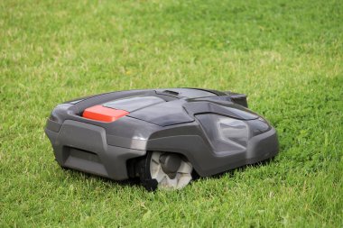 Çayırda çim biçen robot çim biçme makinesi. Yaz parkında otomatik biçme makinesi