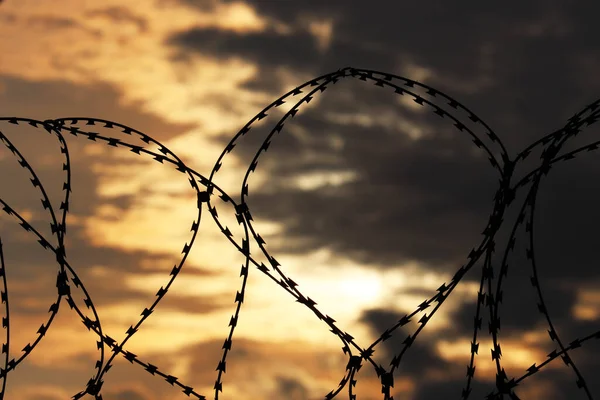 Barbed wire on dramatic sky background at sunset. Concept of boundary, prison, war or immigration