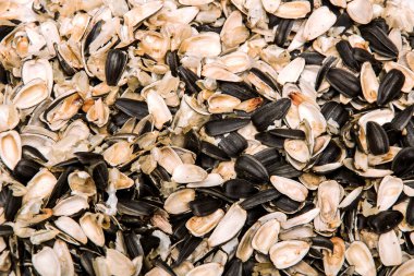 Ayçiçeği tohum kabuğu, arka plan veya doku, sağlıklı gıda ve vitamin