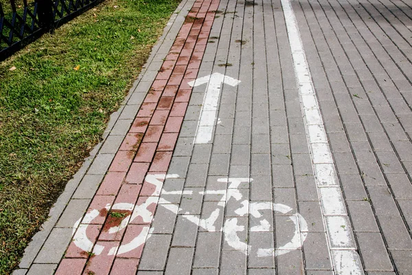 Carriles Bici Losa Pavimentación Estilo Vida Activo Deporte —  Fotos de Stock