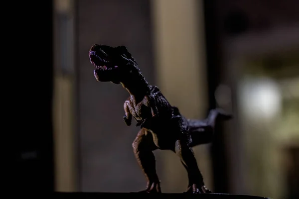 Silhouet Van Tyrannosaurus Schaduw Niet Bestaand Dier — Stockfoto