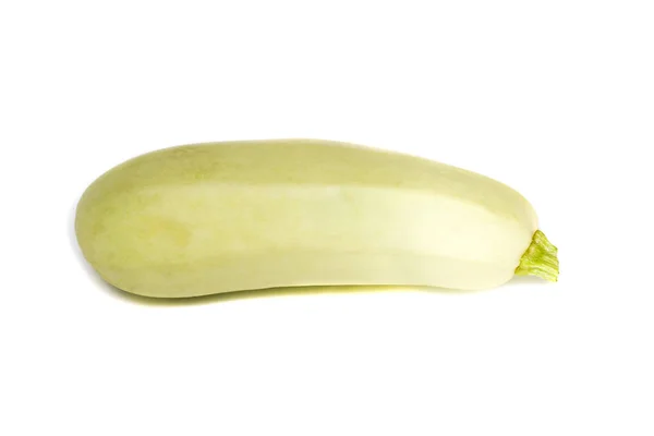 Eine große Zucchini auf weißem Hintergrund — Stockfoto