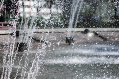 Su sprey ağaçlar arka planı