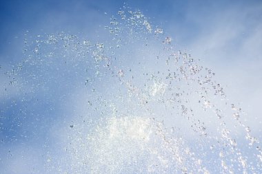 Su sprey ağaçlar arka planı