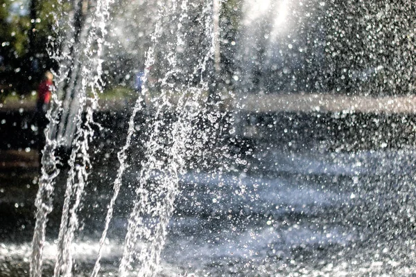 Pulvérisation d'eau sur le fond des arbres — Photo