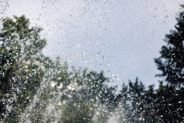 Spray d'acqua sullo sfondo degli alberi — Foto Stock