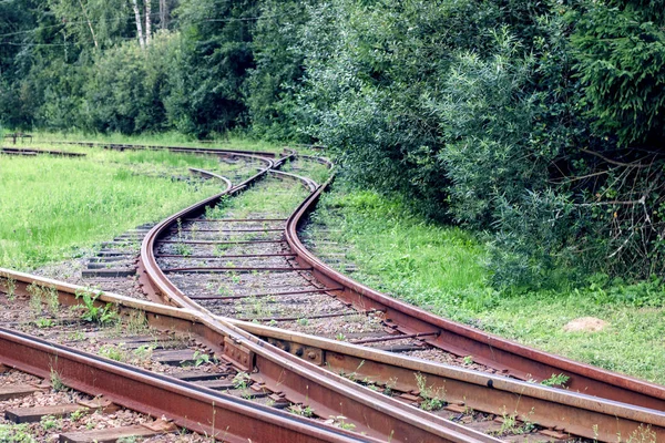 Szyny Kolejowe Lesie Tle Drzew Lato — Zdjęcie stockowe